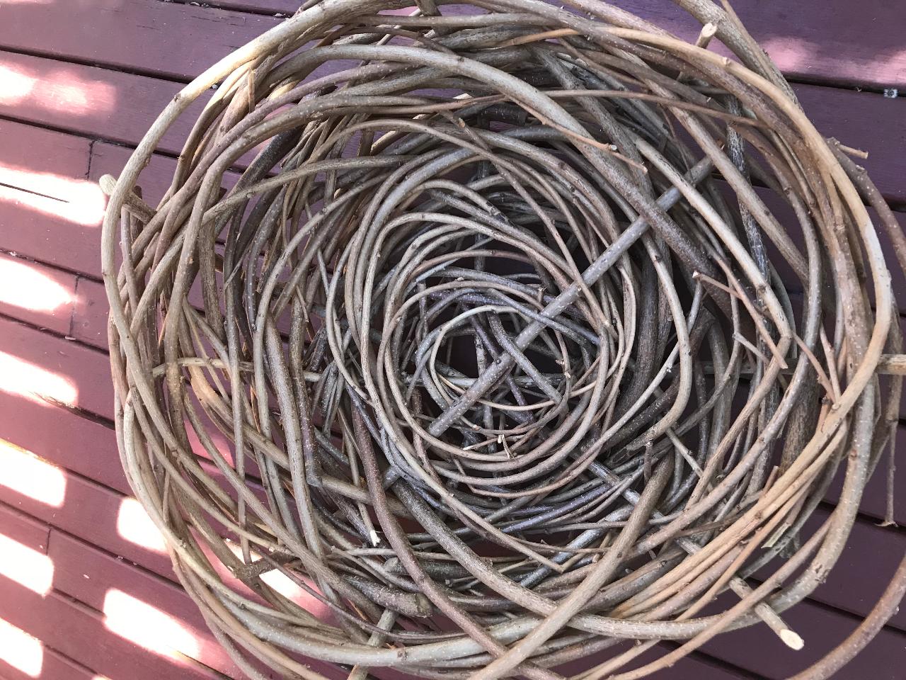Exclusive- Hazelnut Cane foraging basket workshop