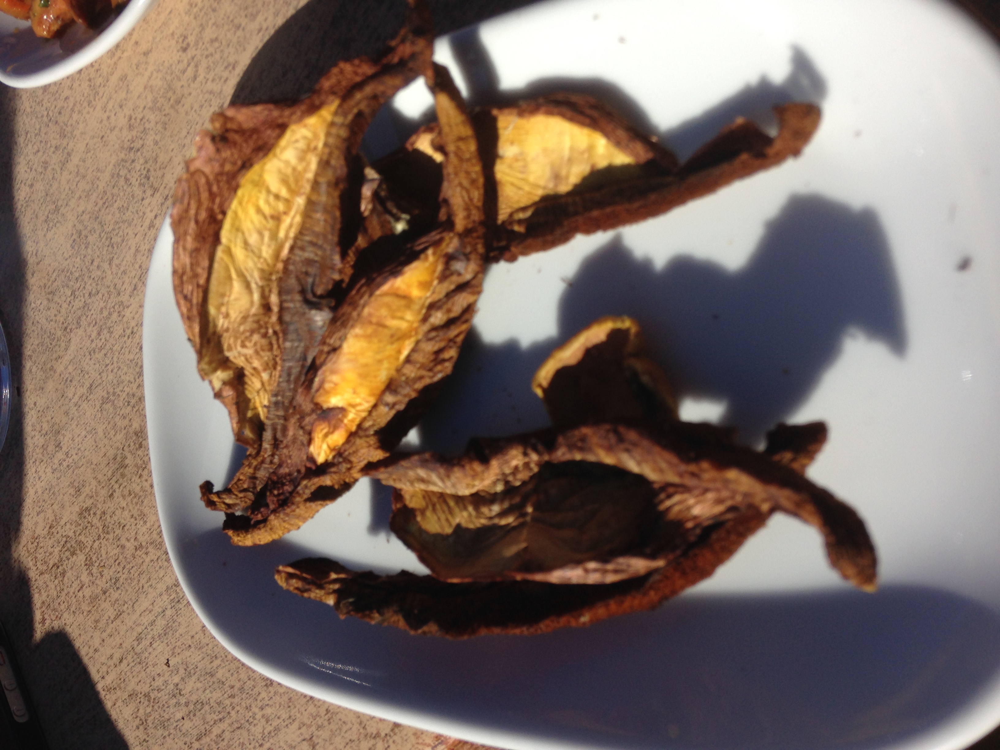 Maxs May Mushroom Meander- Public tour