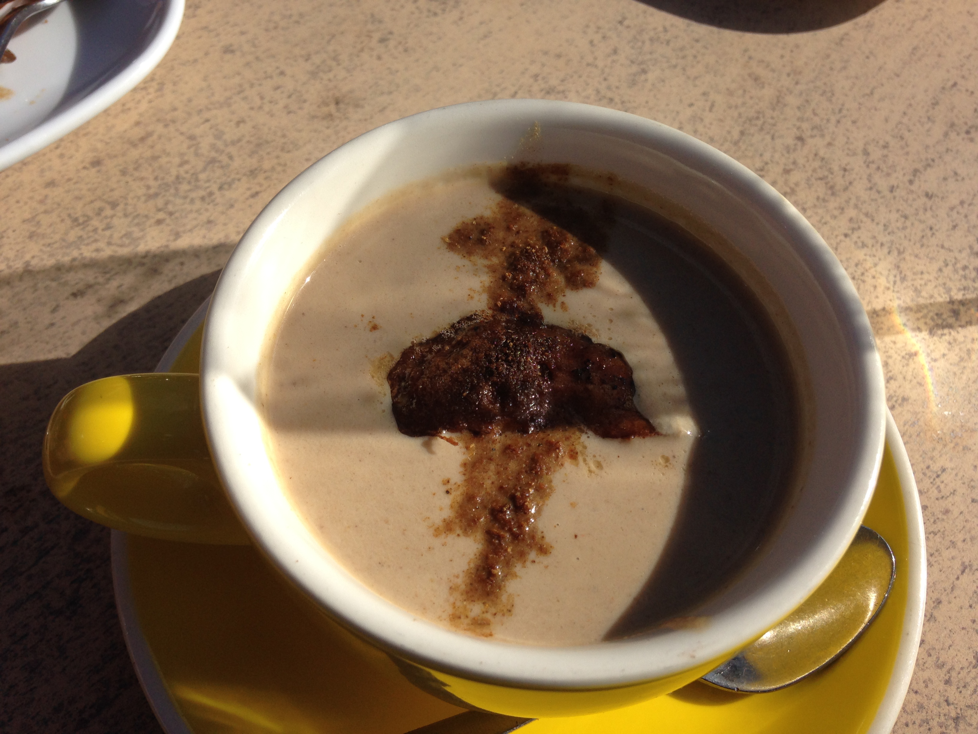 Maxs May Mushroom Meander- Public tour