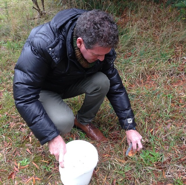 Maxs May Mushroom Meander- Public tour