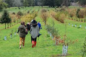 Hunt and Gather at Red Hill Truffles- Public tour