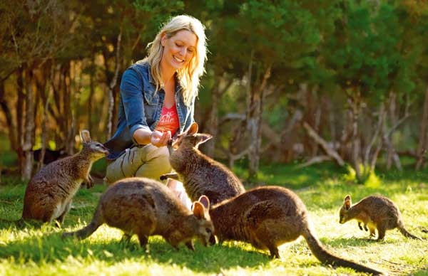 Wildlife and Panorama- Moonlit Sanctuary- Private tour