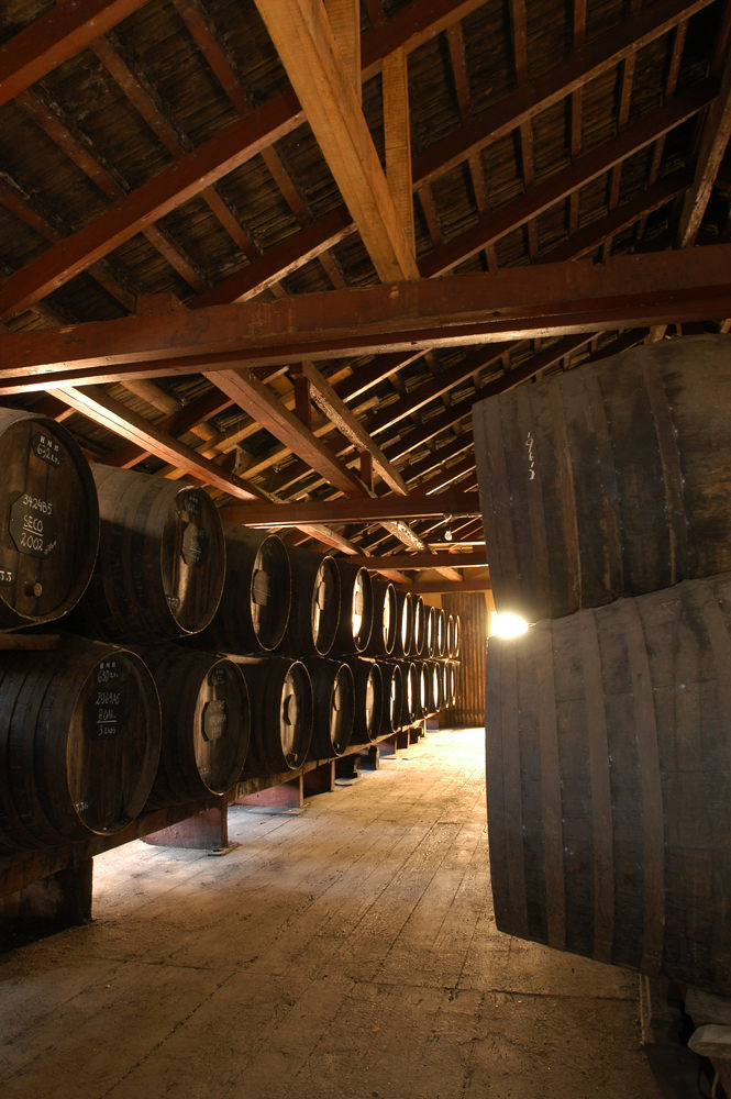 Wine Lodge Tour & Chocolate Tasting Experience