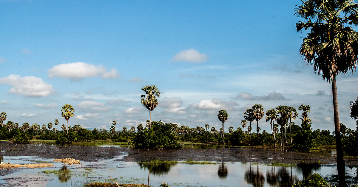 Siem Reap Countryside Ride