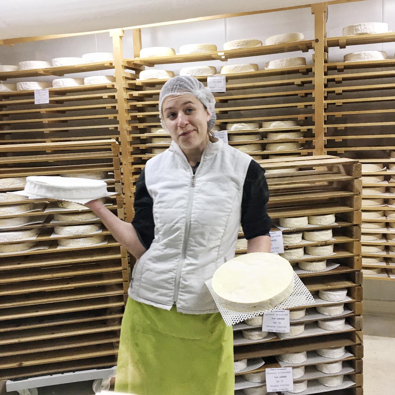 Medieval Charms & Brie Tasting
