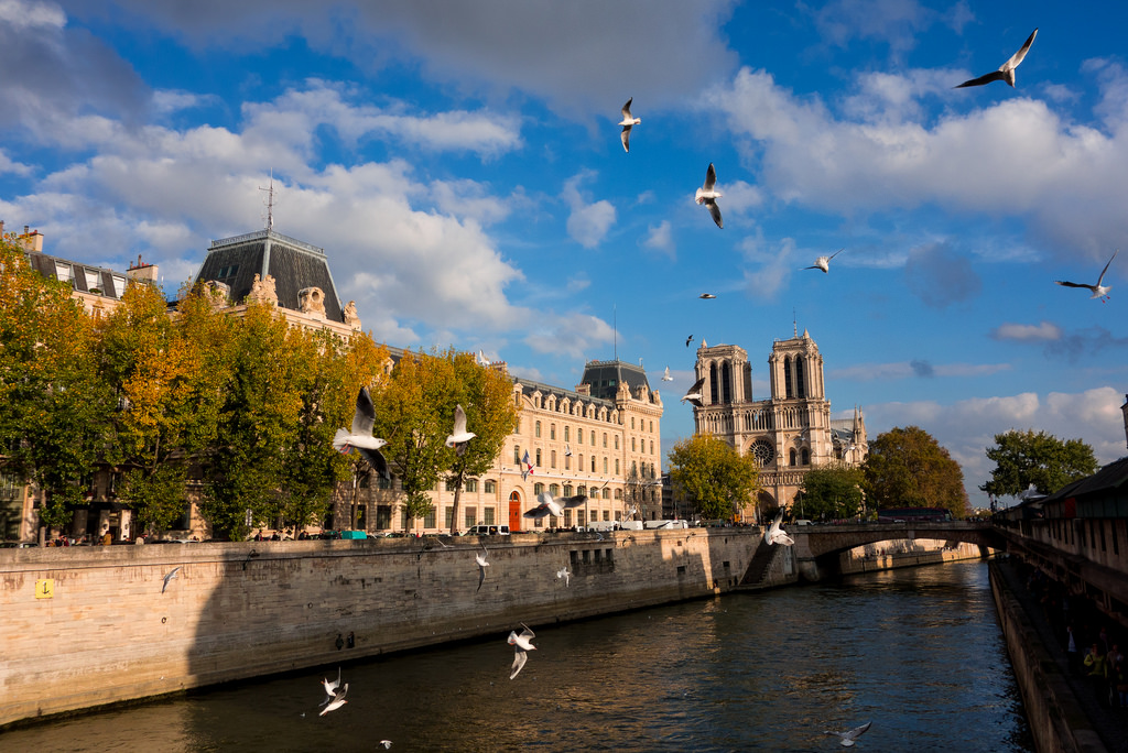 From Notre Dame to the Louvre Private Walking Tour