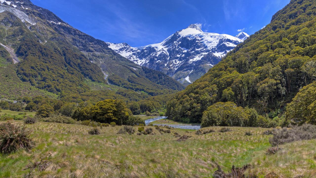 Mt Aspiring Wilderness Hike