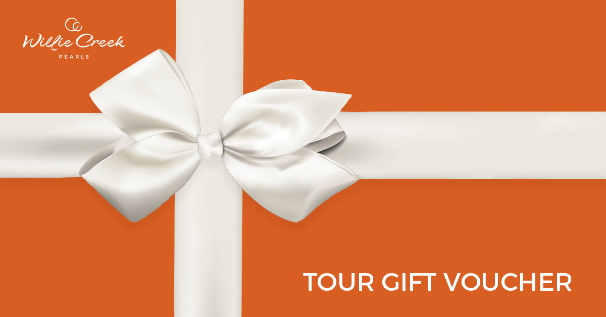 $100 Tour Gift Voucher