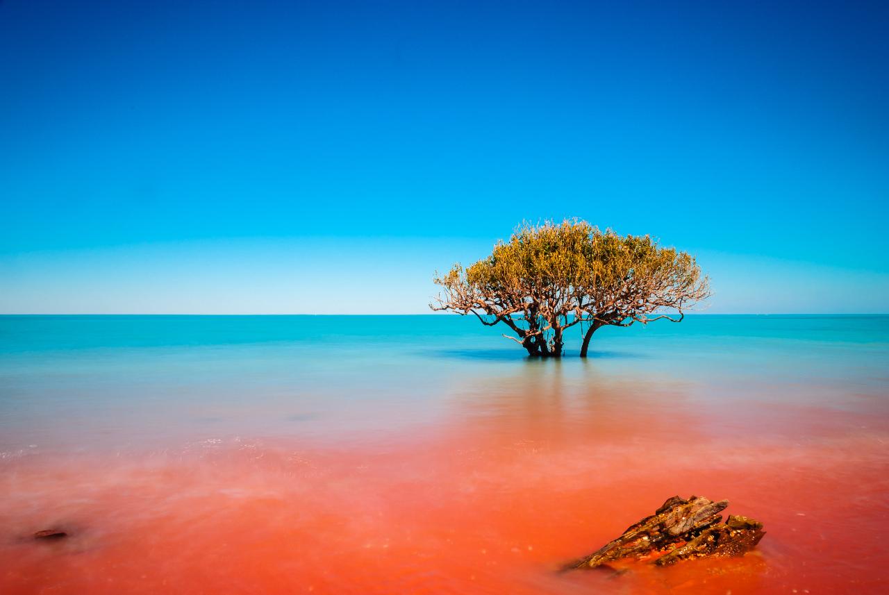 Discover Broome - Willie Creek Pearls Reservations