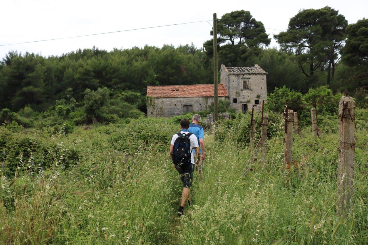 Dubrovnik Islands Walking Break