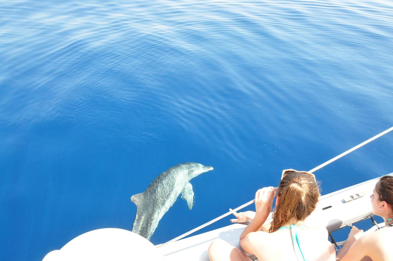 Full day Sailing