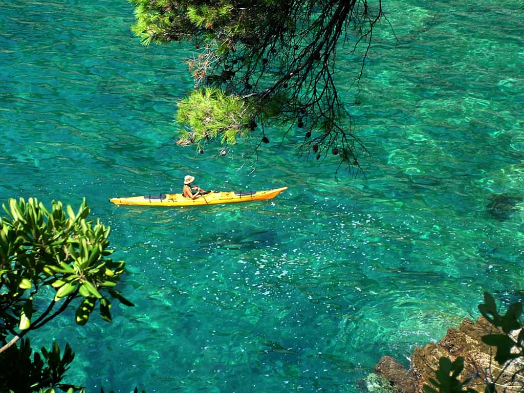 Zaton Bay Kayaking Half Day Trip - afternoon departure