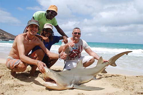 Fishing type: SHARK TOURNAMENT - No Limits Adventure/Cabo Tours .  Reservations