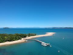 Dunk Island Transfers