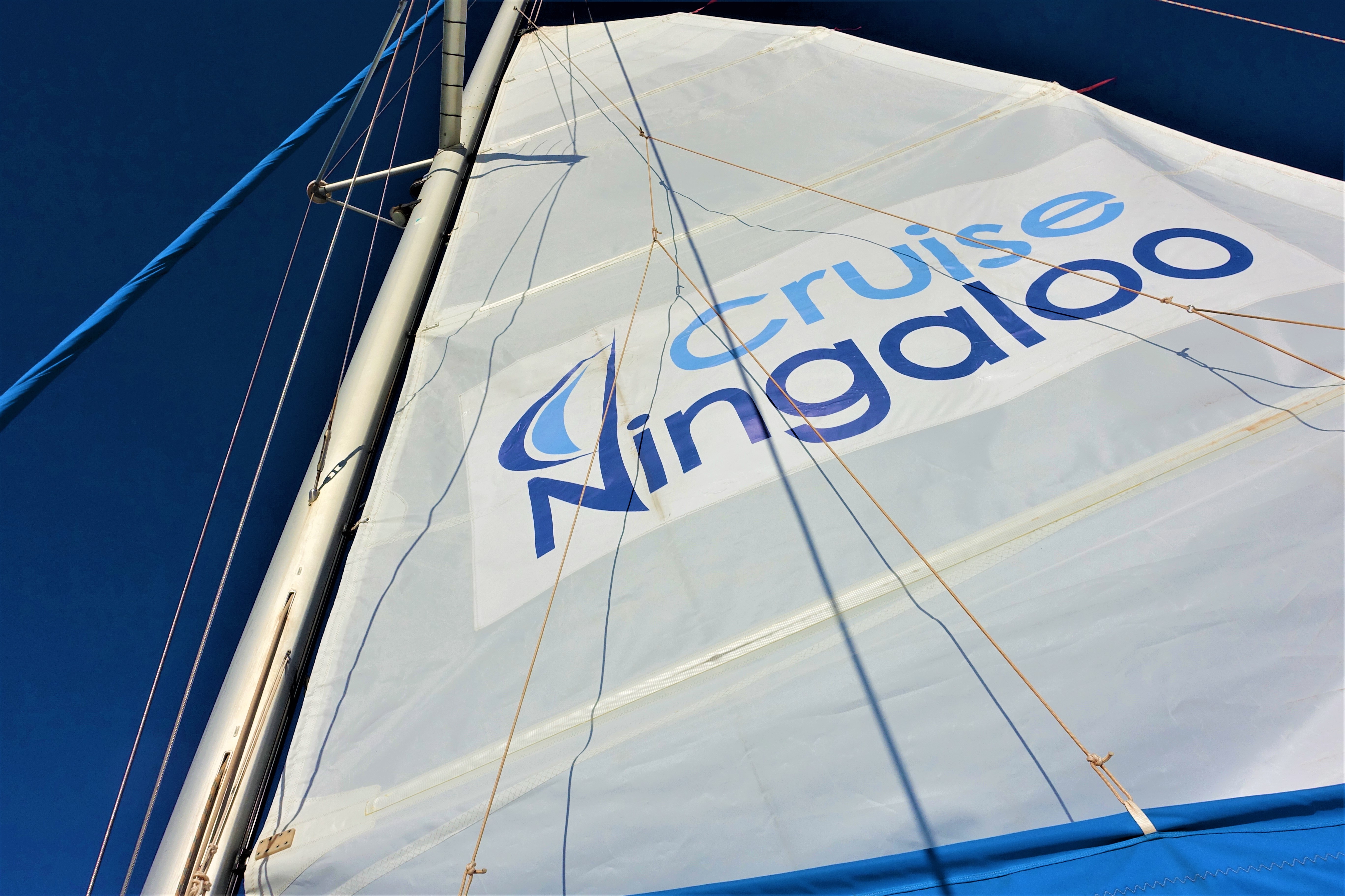 A day with the whale