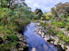 Murray River Air Cruise (5 days) ex Melbourne