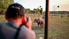  Ultimate Wildlife Air Safari (15 days) ex Sydney