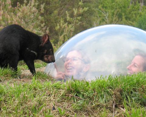 Tasmanian Devil Unzoo entry and tour Tasmania Australia