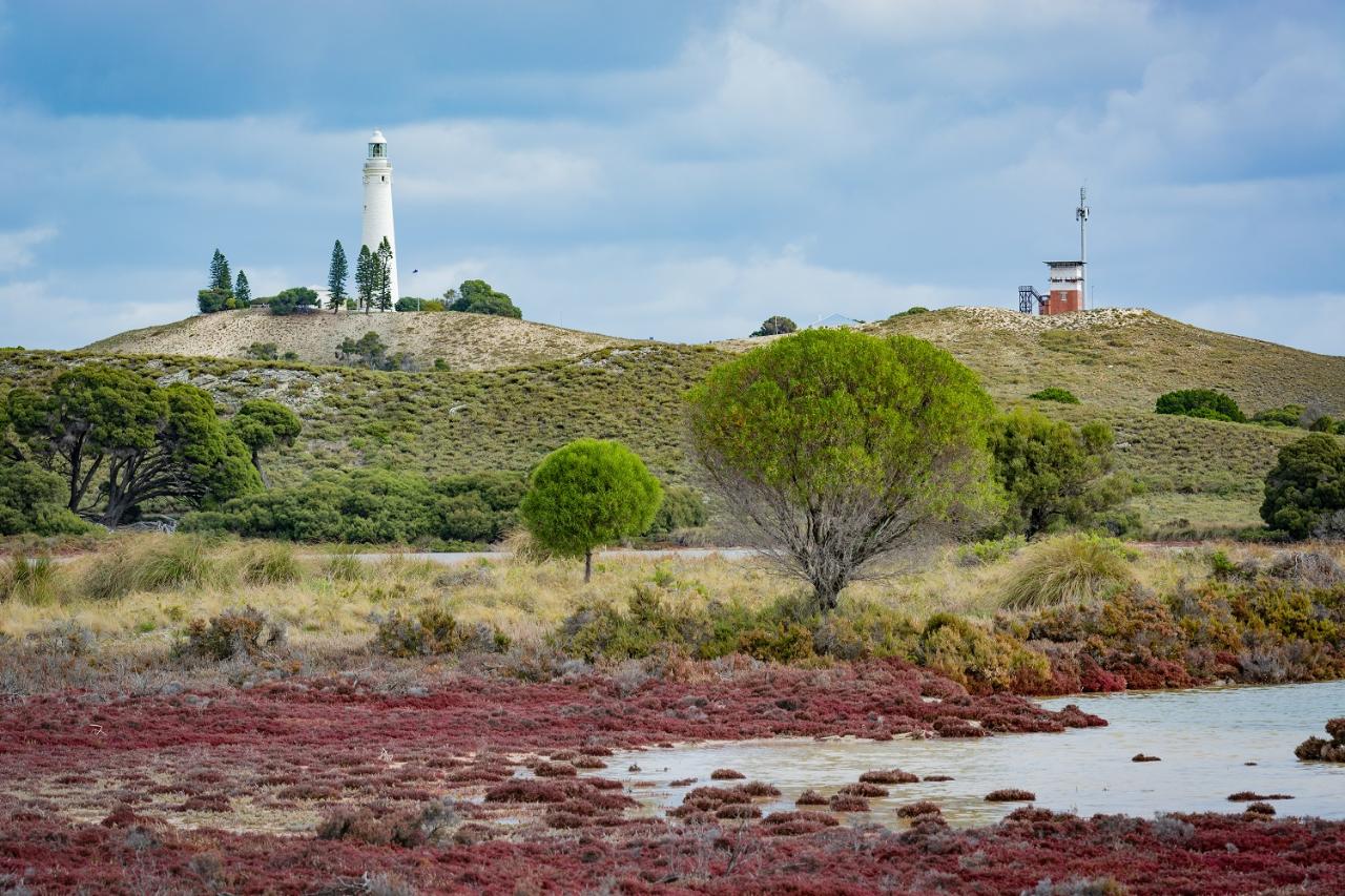 Wadjemup Lighthouse(T1)