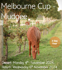 Melbourne Cup in Mudgee