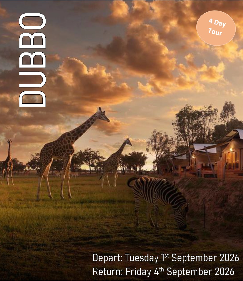 Dubbo