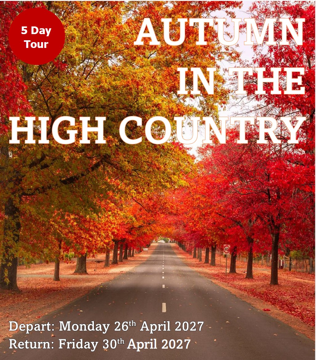 Autumn In The High Country