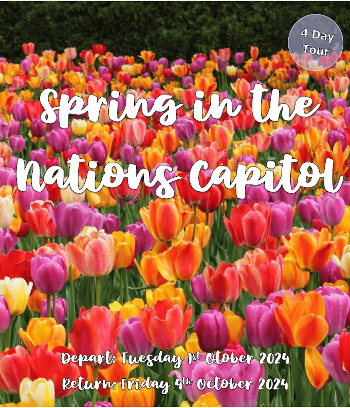 Spring In The Nation's Capitol