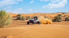 The Lone Ranger ● Polaris RS1 ● 1-seater ● 2 hours drive time 