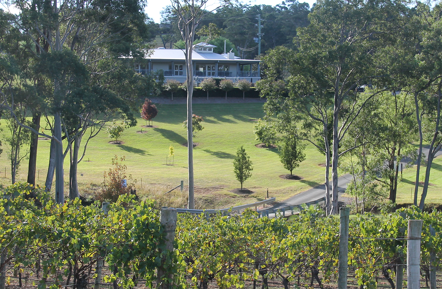 Tulloch Wines - Mystery Wine Tasting Experience with Local Cheese and Charcuterie