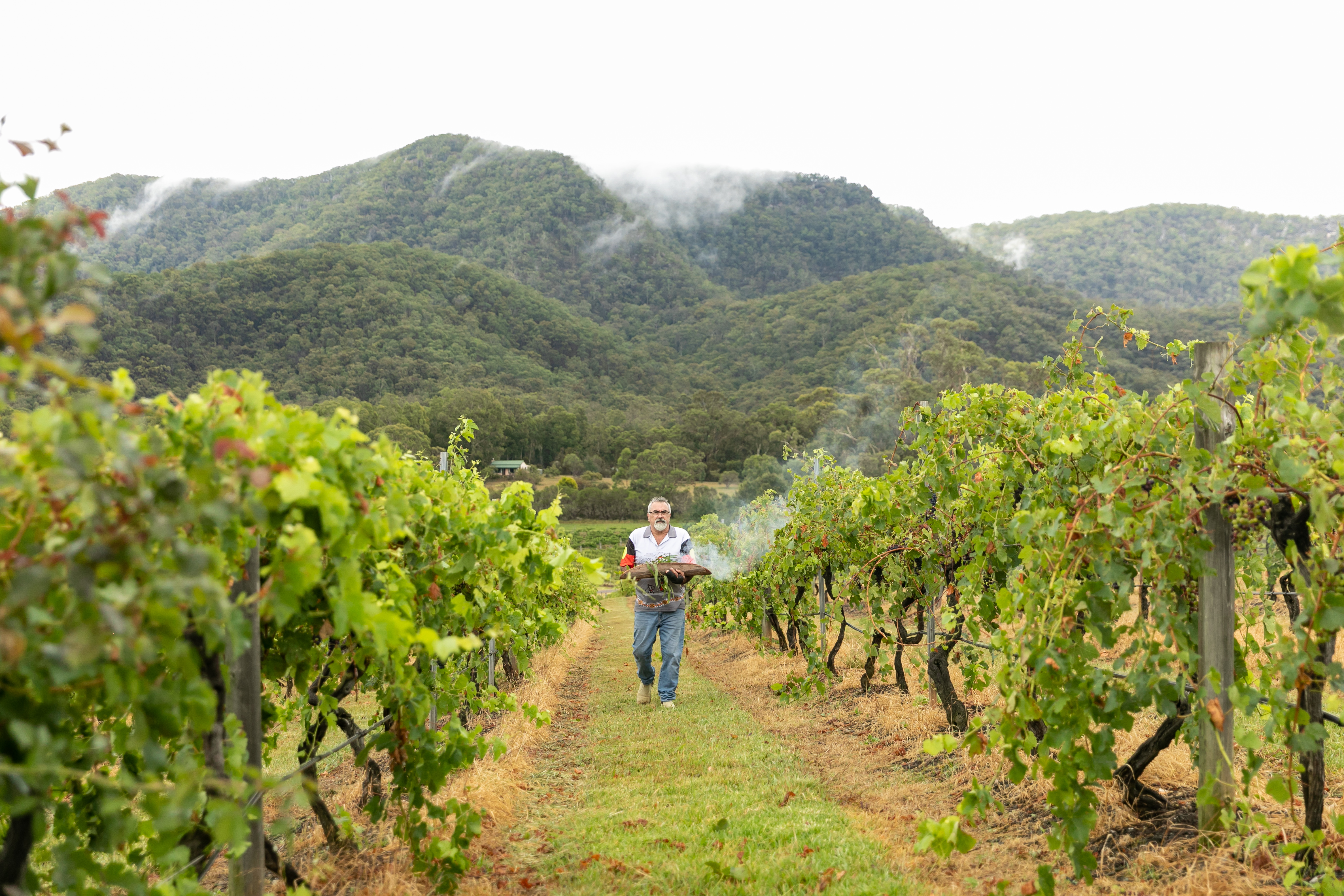 Tulloch Wines 'Welcome to Wonnarua' Sparkling Tasting & Brunch Board with native ingredients
