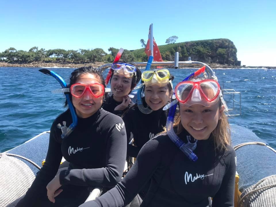 Snorkelling Adventure Sunshine Coast