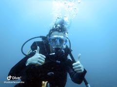 Reef Clean Team Non Members Dive