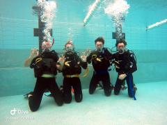 Open Water Scuba Diver Course