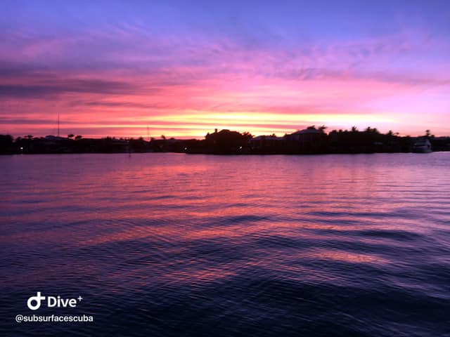 Sunset Cruise, Fish and Coral Viewing