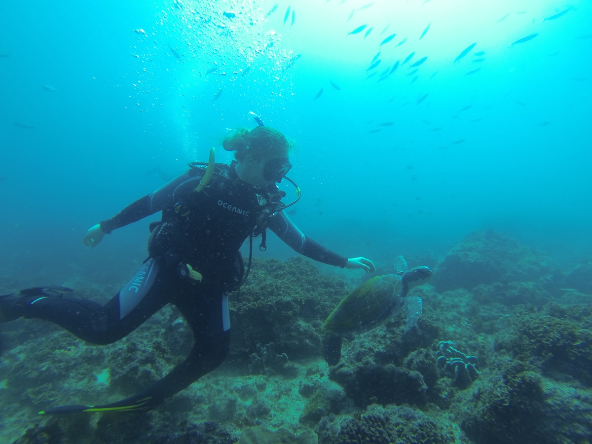 Scuba Diving Julian Rocks - Double Dive