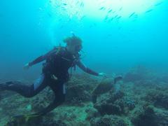Scuba Diving Julian Rocks - Double Dive