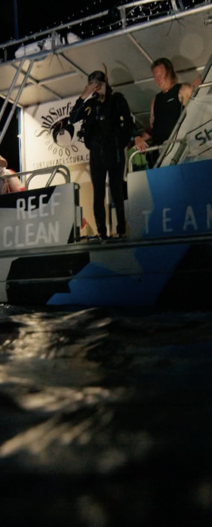 Night Dive Sunshine Coast Reefs, single dive