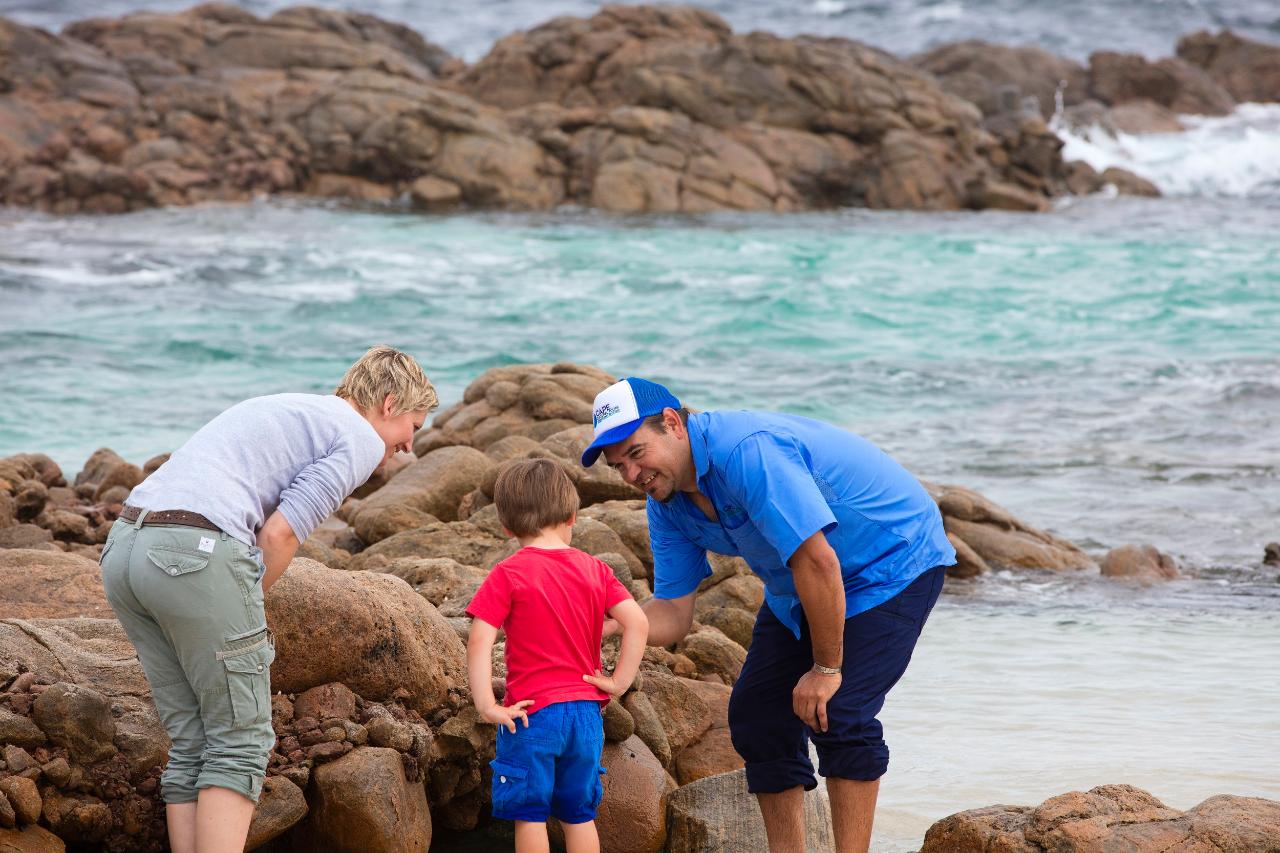 Cape Cultural Tours - Customised Experience