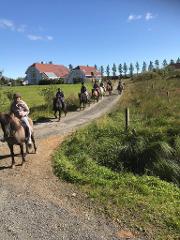 Riding tour and lunch with a farmer