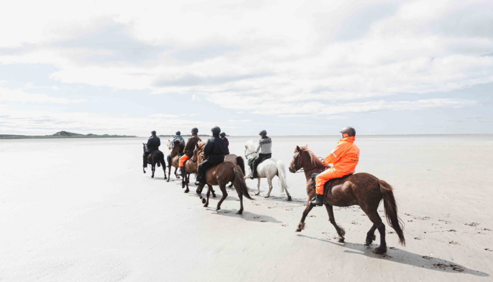 Deluxe Beach Ride in Snæfellsnes peninsula 