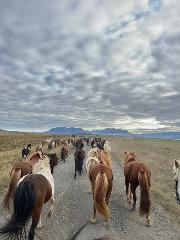 The Northern Highlands Trail 