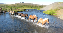 Riding between rivers 