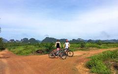Full-Day 20 km Jungle Cycling Tour Through Lush Green Krabi with Krabi Eco Cycle