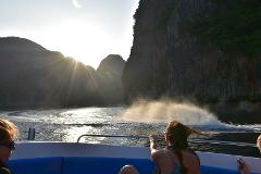 Early Bird Phi Phi Island Speed Boat Tour by Sea Eagle