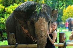 Morning Visit Krabi Elephant Sanctuary