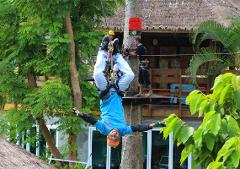 All Zip Line Levels with 75 Games & Lunch, Half-Day