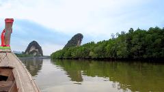 Private Mangrove Boat Trip