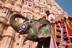 2-Night Jaipur Including Monument Entrance Fees from New Delhi 