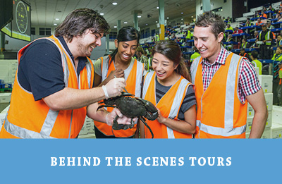 Behind the Scenes Tour