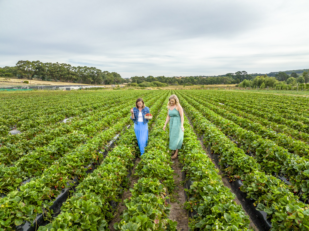 Victor Harbor Coastal Odyssey